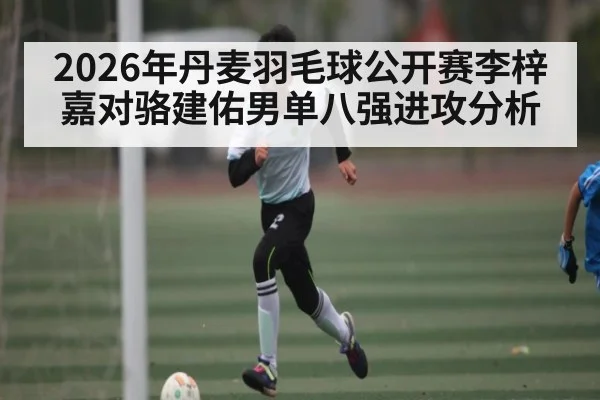 2026年丹麦羽毛球公开赛李梓嘉对骆建佑男单八强进攻分析